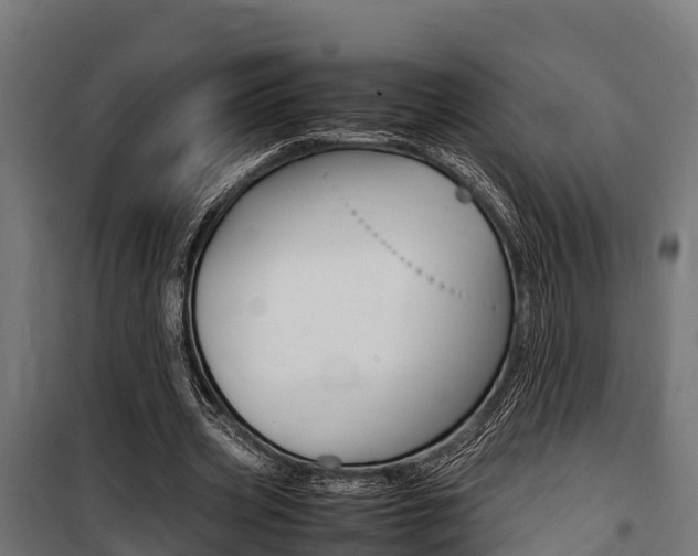X0000100850533200806200804