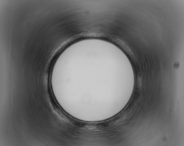 X0000100850534200806200804