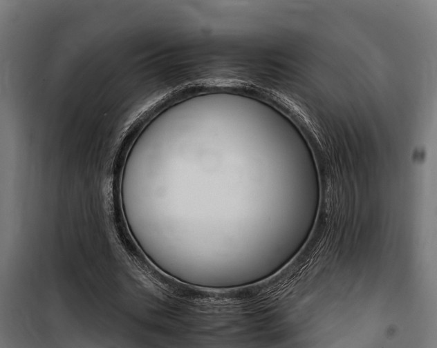 X0000100850535200806200804