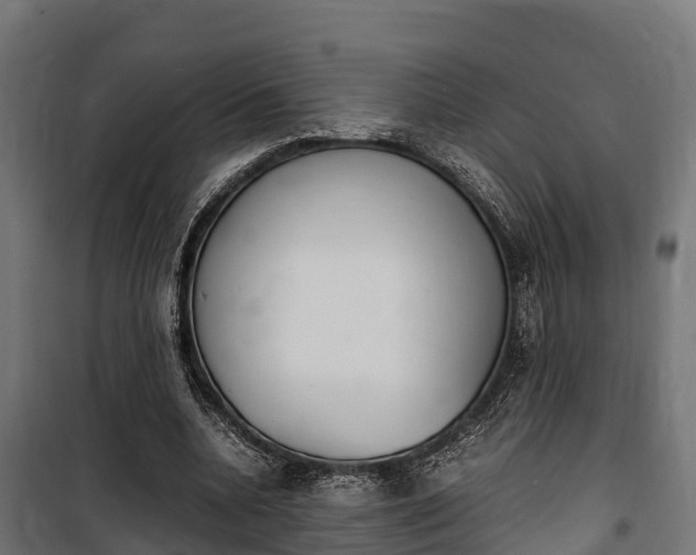 X0000100850536200806200804