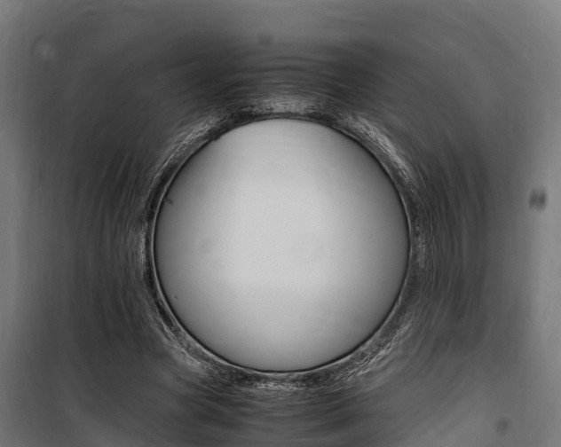X0000100850537200806200804
