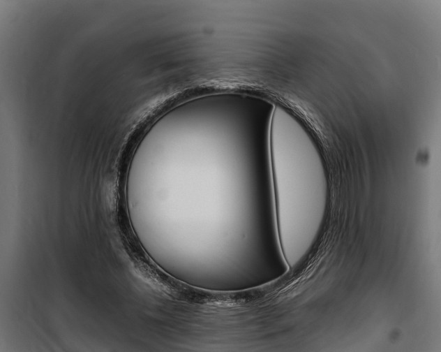 X0000100850540200806200804