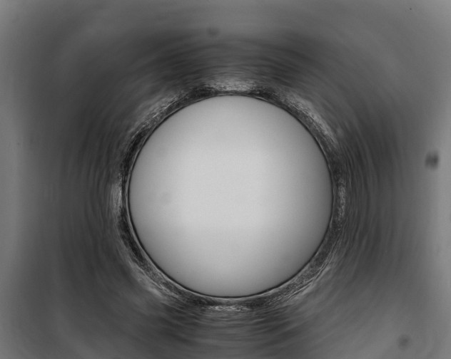 X0000100850541200806200804