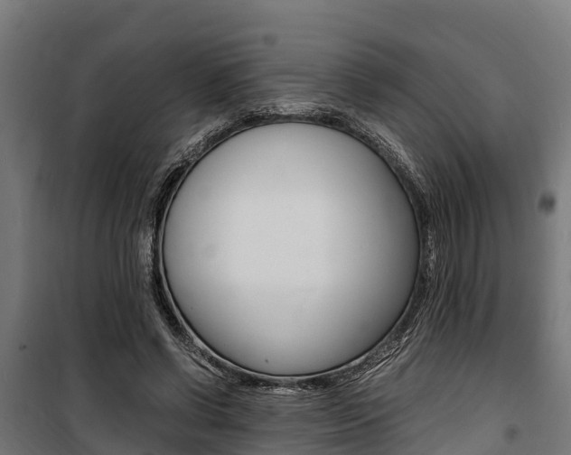 X0000100850542200806200804