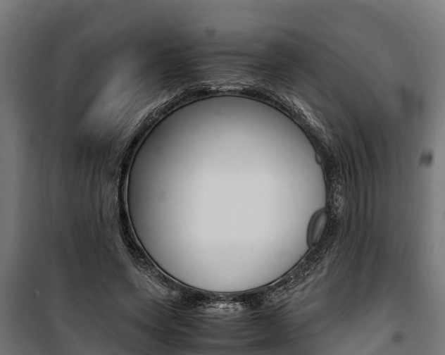 X0000100850543200806200804
