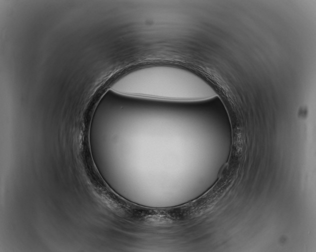 X0000100850544200806200804