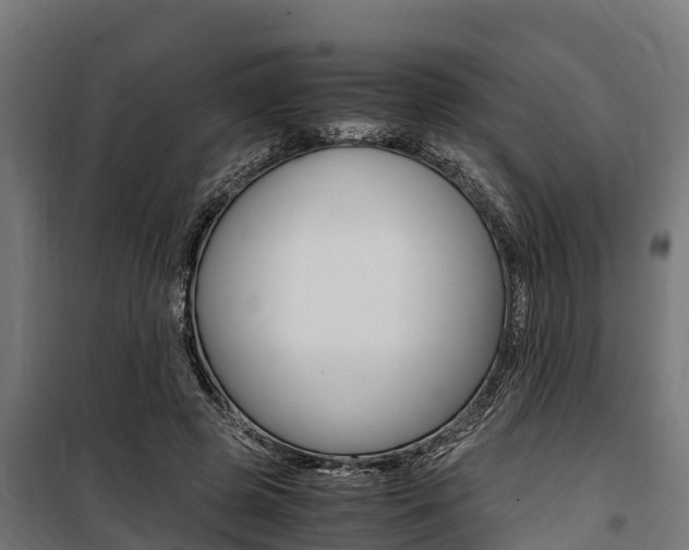 X0000100850545200806200804