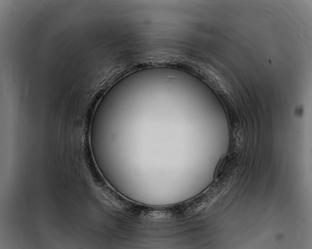 X0000100850546200806200804