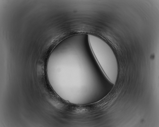 X0000100850547200806200804