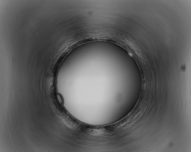 X0000100850548200806200804