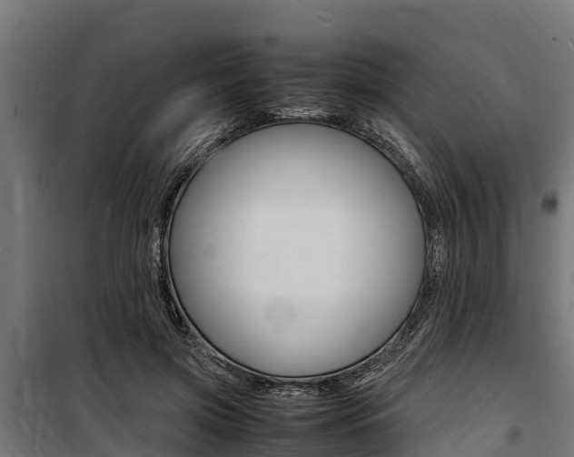 X0000100850549200806200804