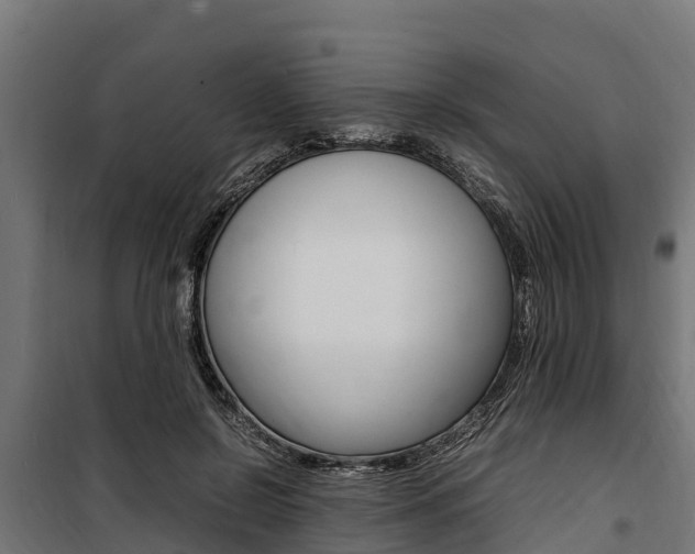 X0000100850550200806200804