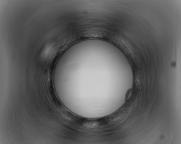 X0000100850551200806200804