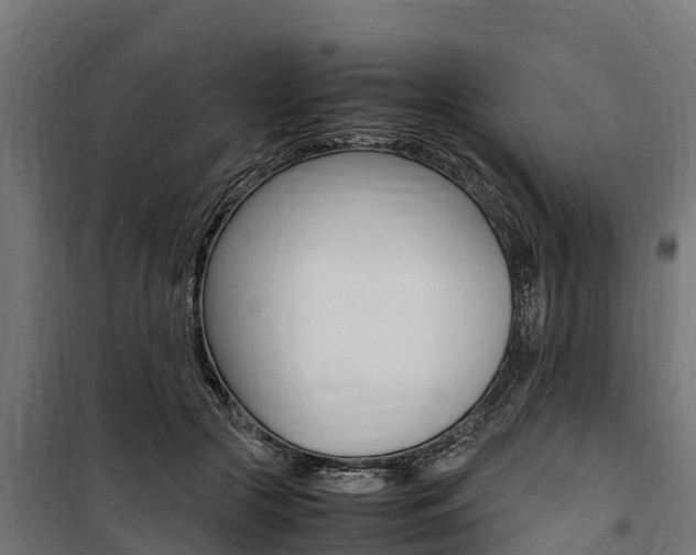 X0000100850553200806200804