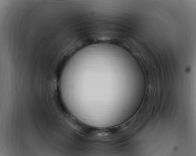 X0000100850555200806200804