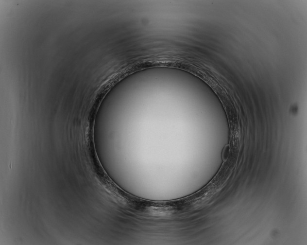 X0000100850556200806200804