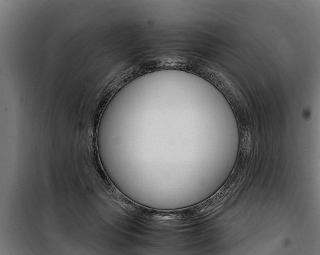 X0000100850557200806200804