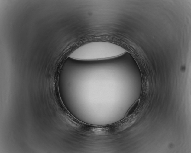 X0000100850558200806200804