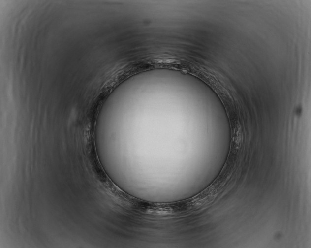 X0000100850559200806200804