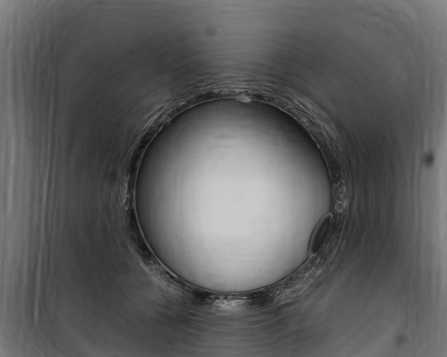 X0000100850560200806200804