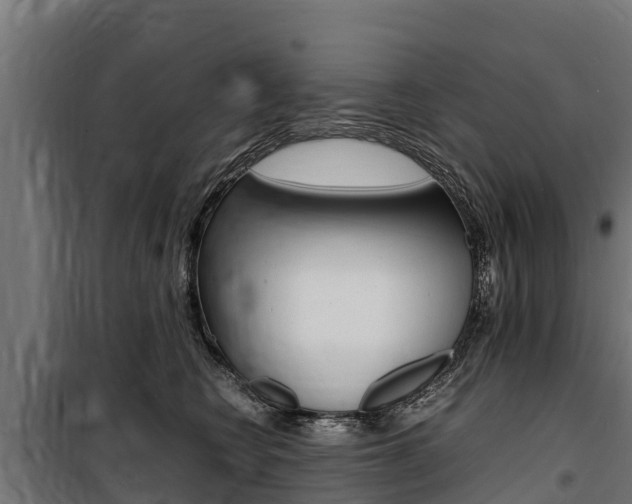 X0000100850566200806200805
