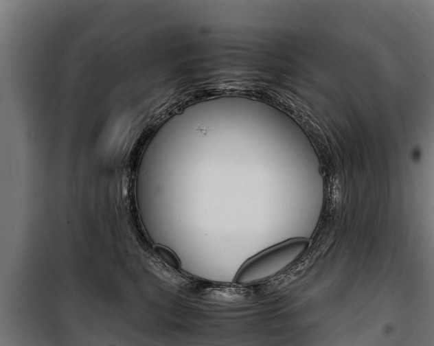 X0000100850567200806200805