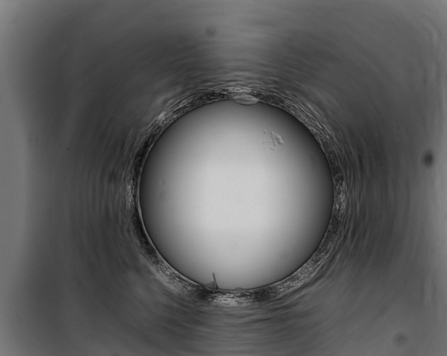 X0000100850568200806200805