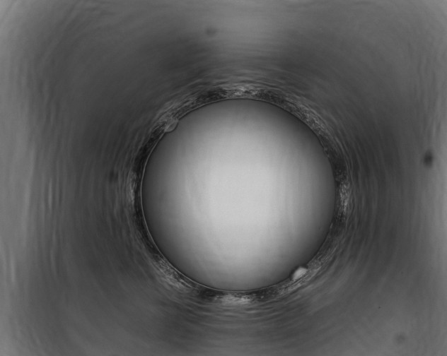 X0000100850570200806200805