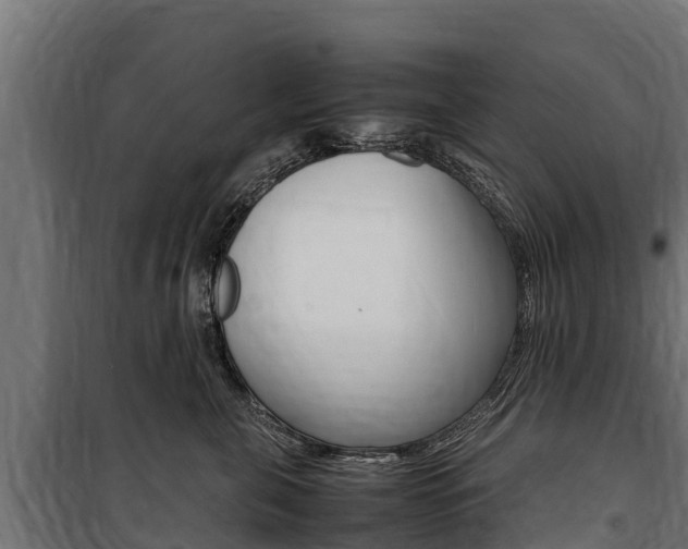 X0000100850571200806200805