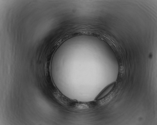 X0000100850572200806200805