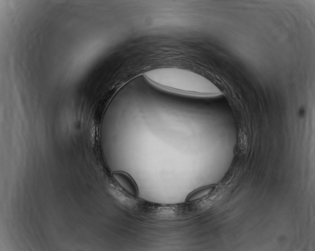 X0000100850574200806200805