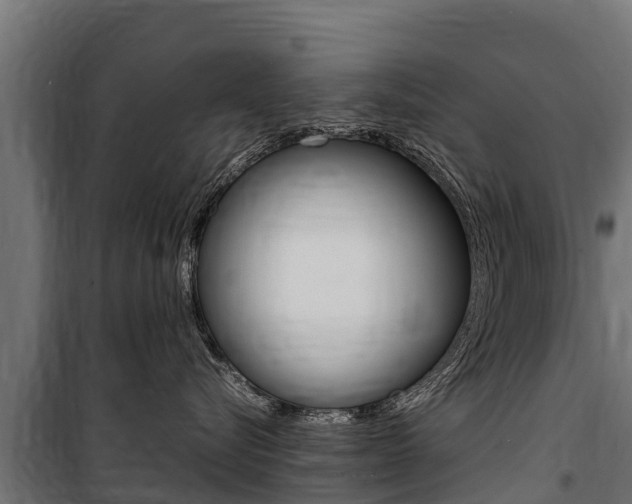 X0000100850576200806200805