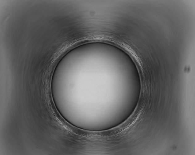 X0000100850577200806200804