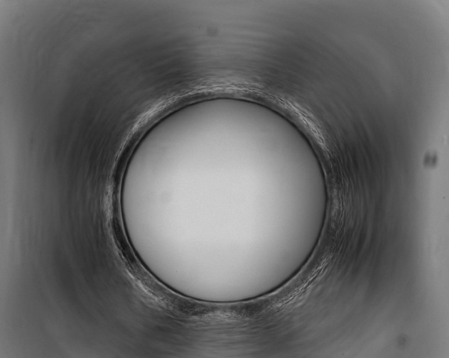 X0000100850578200806200804