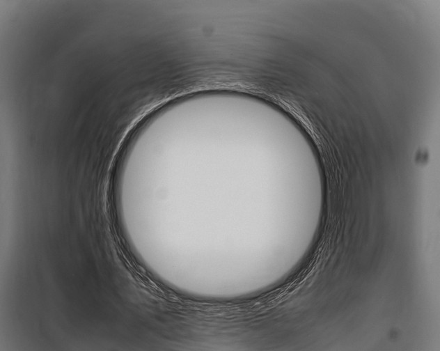 X0000100850579200806200804