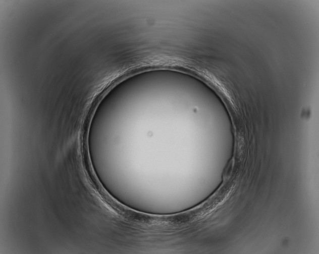 X0000100850581200806200804
