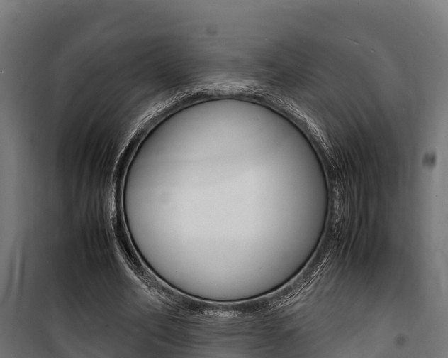 X0000100850582200806200804