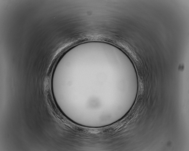 X0000100850583200806200804