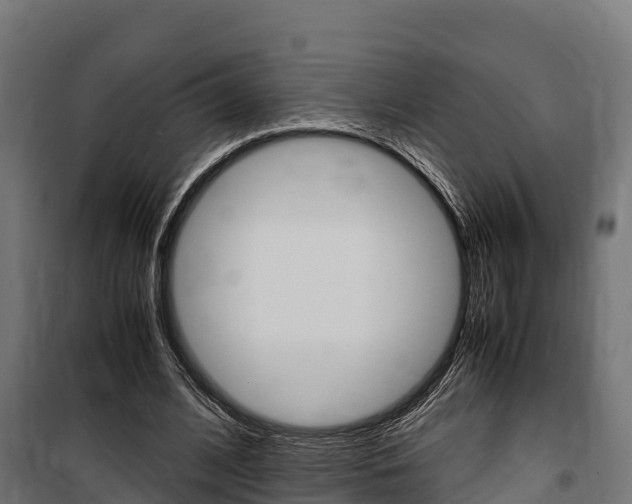 X0000100850584200806200804