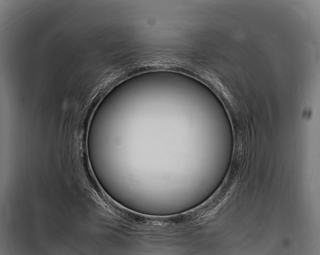 X0000100850585200806200804