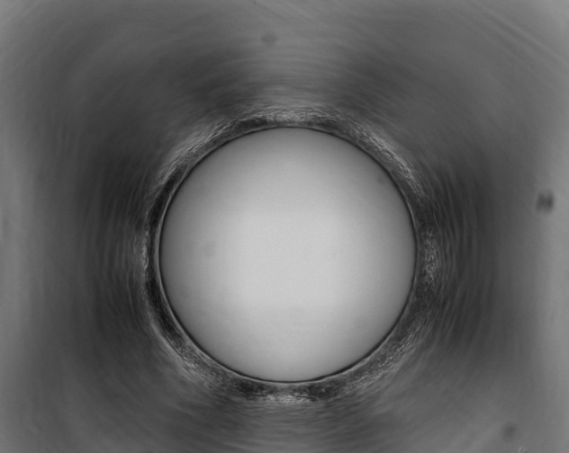 X0000100850586200806200804