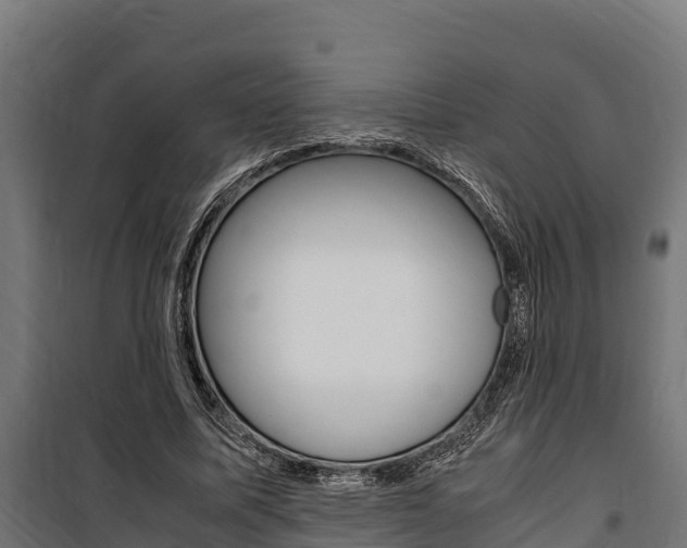 X0000100850587200806200804