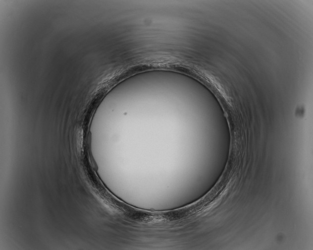 X0000100850589200806200804