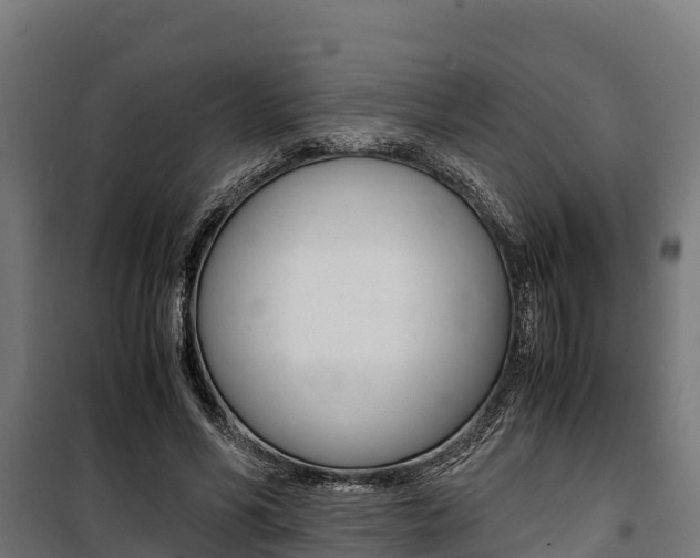 X0000100850590200806200804