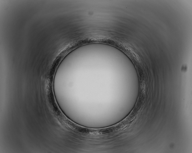 X0000100850591200806200804
