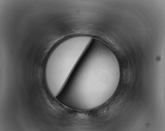 X0000100850592200806200804