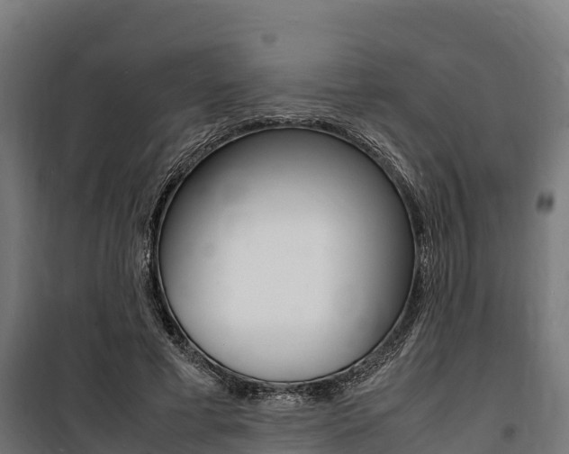 X0000100850593200806200804