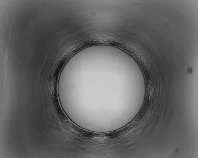 X0000100850595200806200804