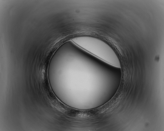 X0000100850596200806200804
