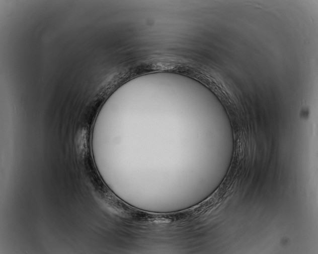X0000100850598200806200804